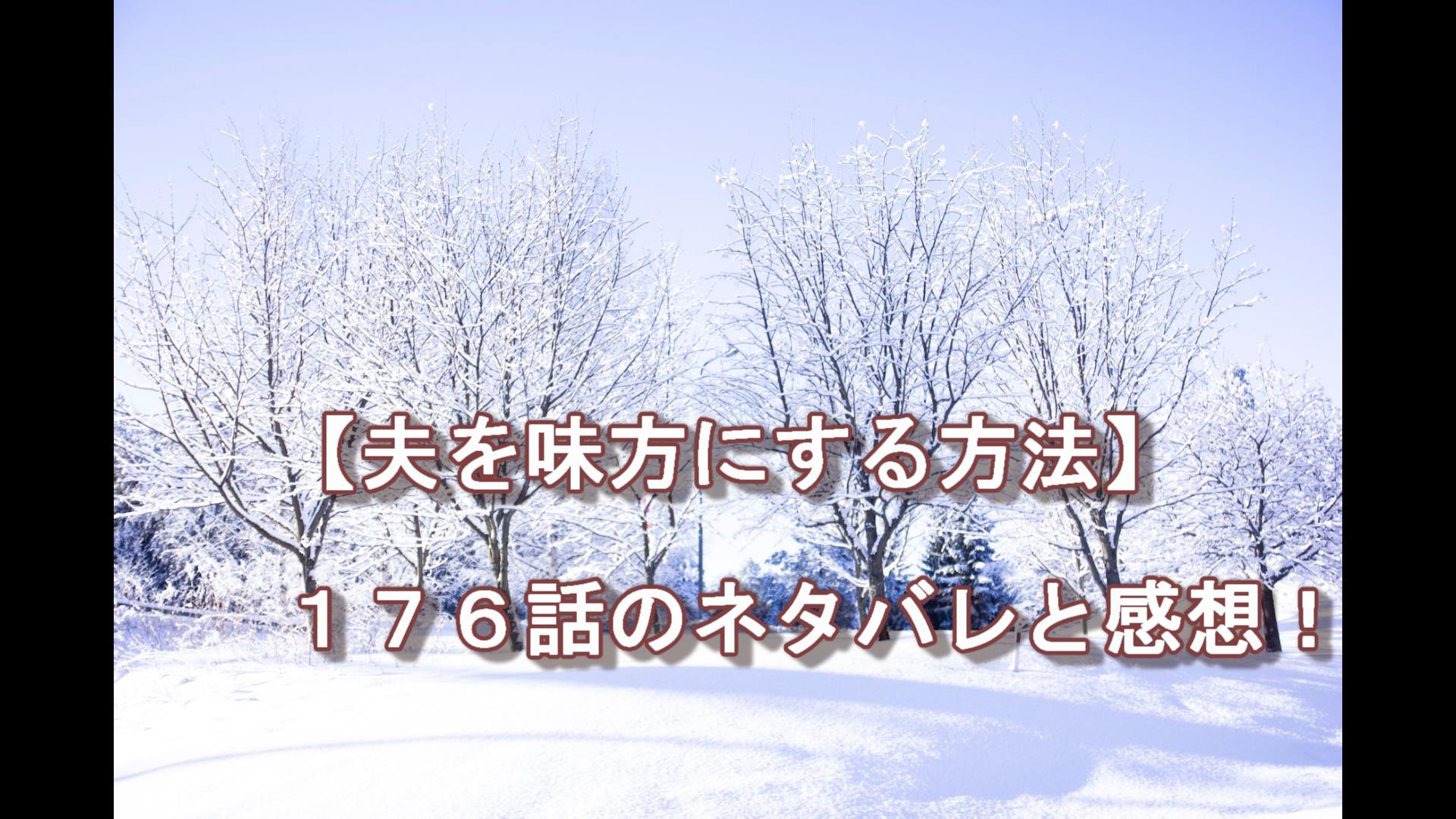 夫を味方にする方法【176話】ネタバレ｜ピッコlog