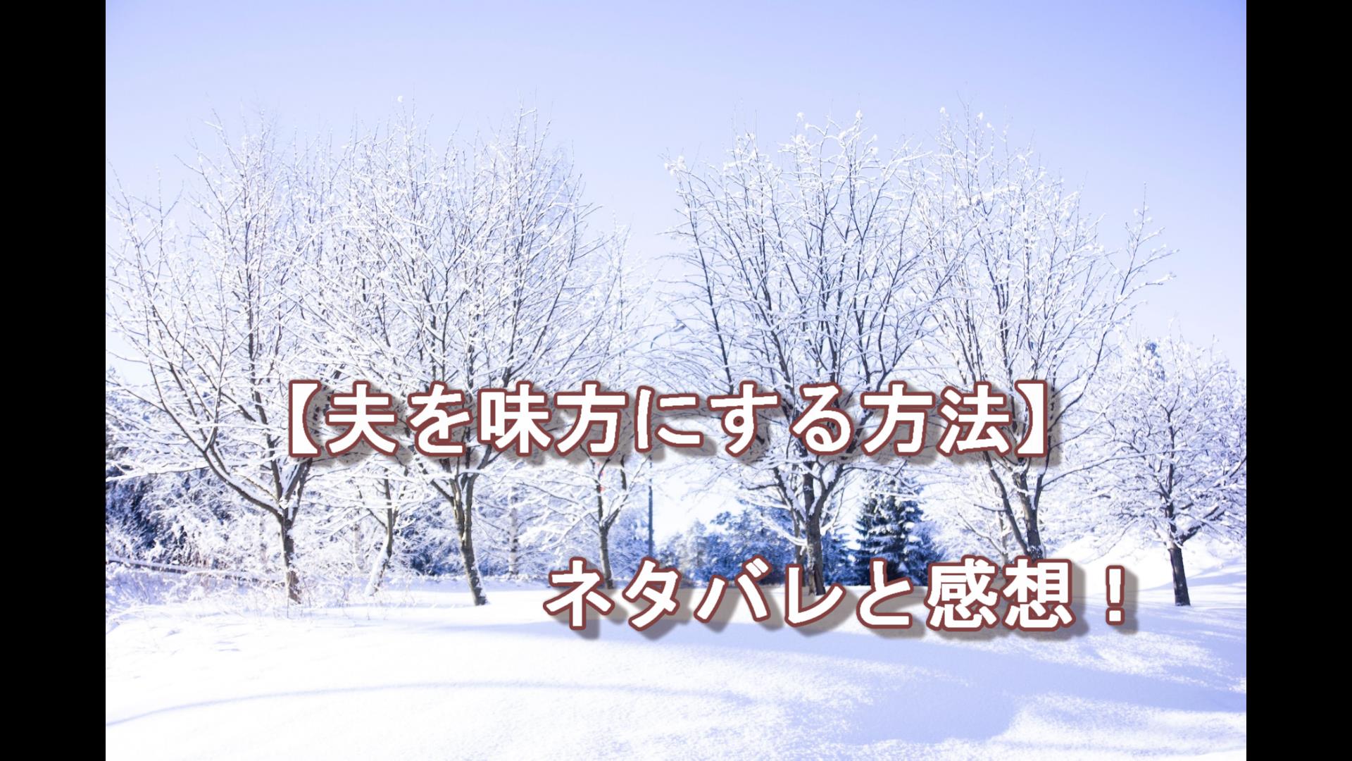 夫を味方にする方法【203話】ネタバレ｜ピッコlog